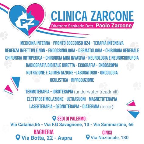 clinica zarcone NEW 2021